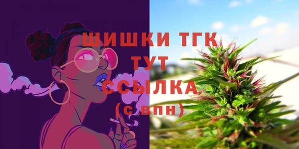 мдпв Дмитриев