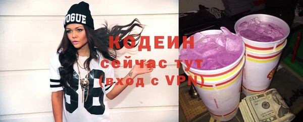 мдпв Дмитриев