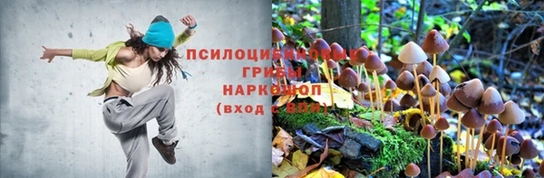 мдпв Дмитриев