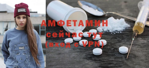 мдпв Дмитриев