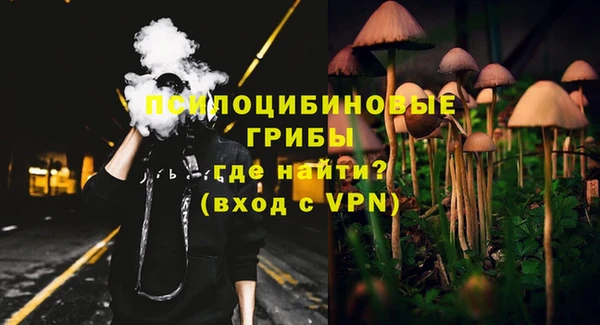 spice Дмитров