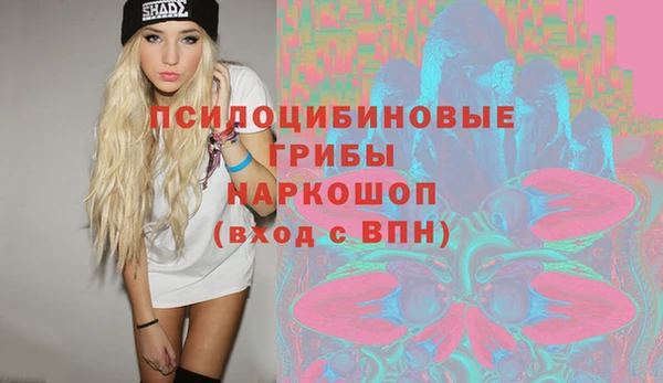 таблы Дмитровск