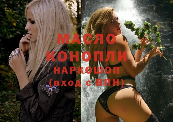 мдпв Дмитриев