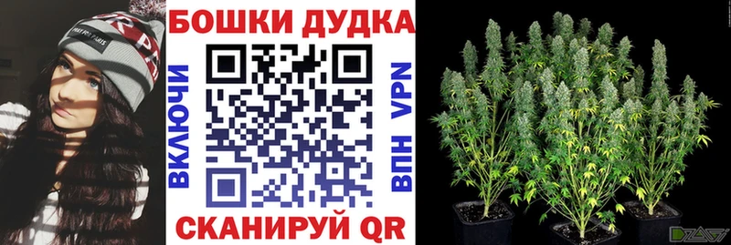 Каннабис конопля  Чулым 